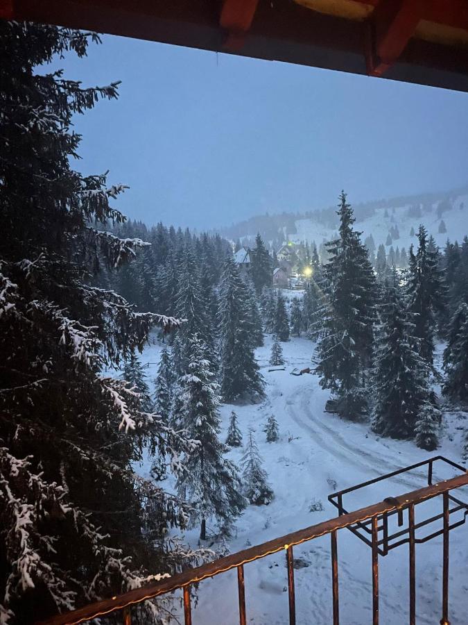 Cabana Miramonte Vartop Arieseni Экстерьер фото